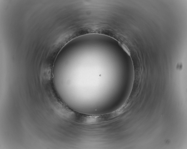 X0000091920090200709121547