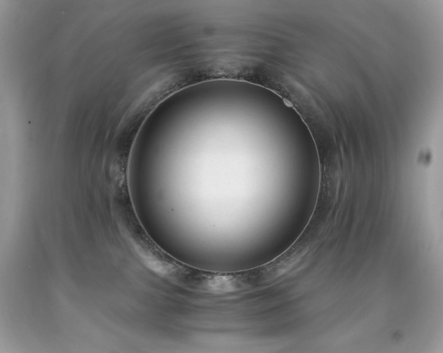 X0000091920091200709121547