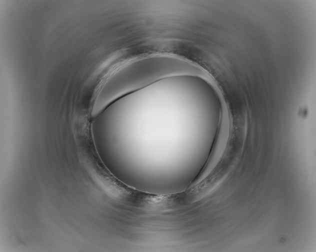 X0000091920092200709121547