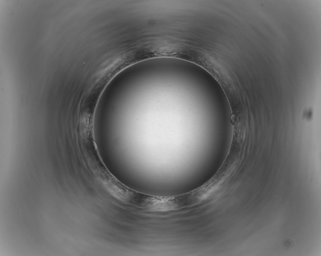 X0000091920093200709121547