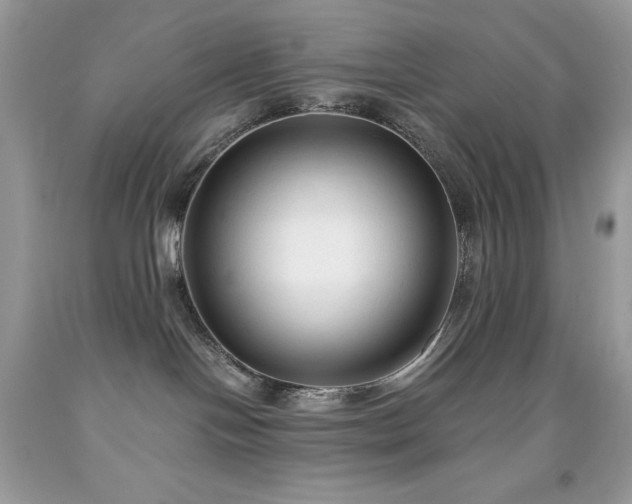 X0000091920094200709121547