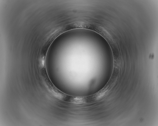 X0000091920095200709121547
