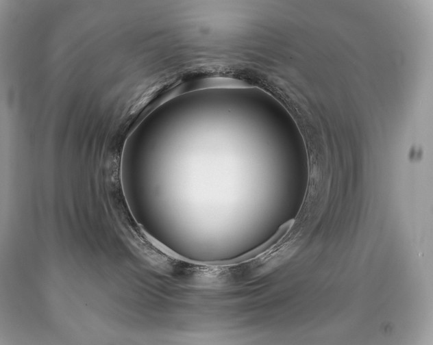 X0000091920096200709121547