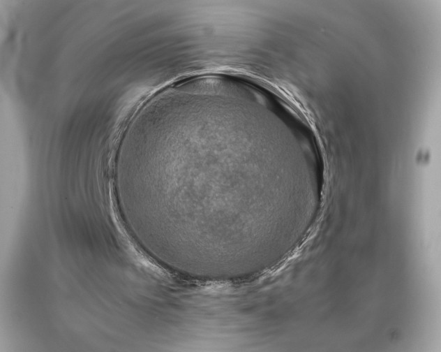 X0000091920097200709121546