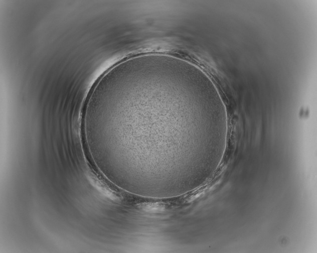 X0000091920100200709121546