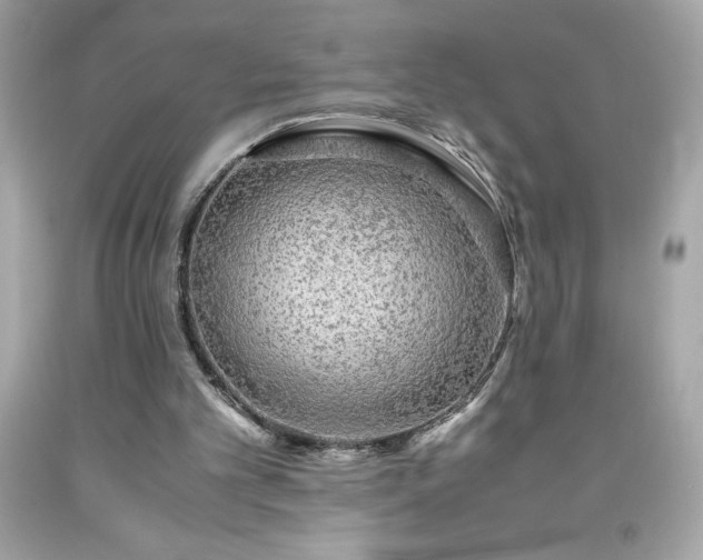 X0000091920101200709121546
