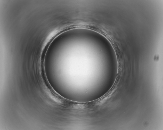 X0000091920102200709121546