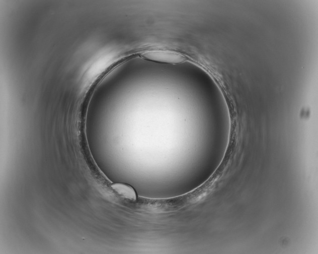 X0000091920103200709121546