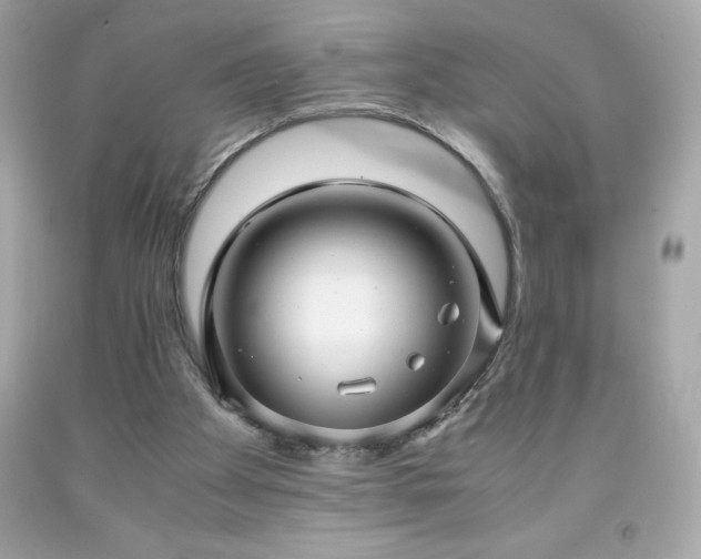 X0000091920105200709121546