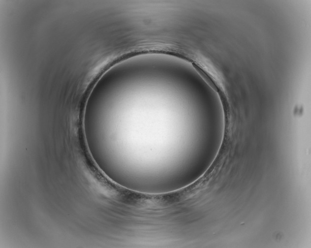 X0000091920107200709121546