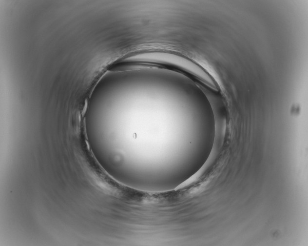 X0000091920109200709121546