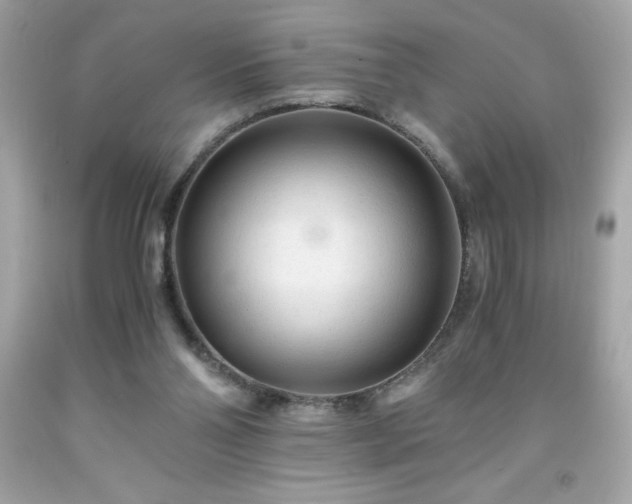 X0000091920110200709121546