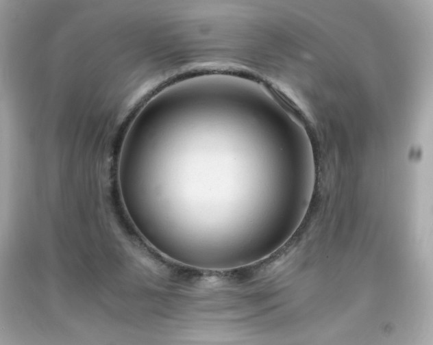 X0000091920111200709121546