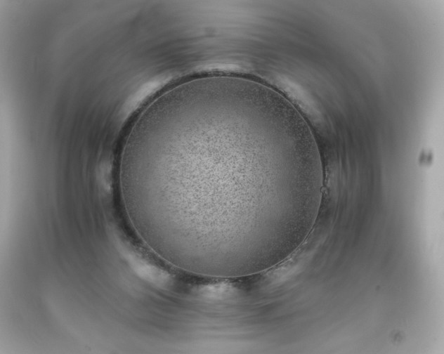 X0000091920112200709121546
