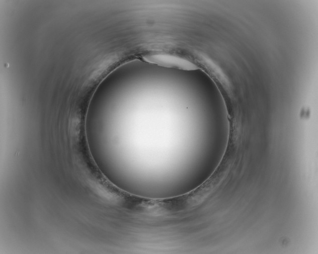 X0000091920113200709121546