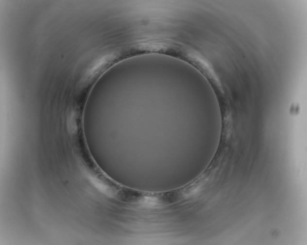 X0000091920114200709121546