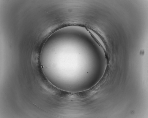 X0000091920115200709121546