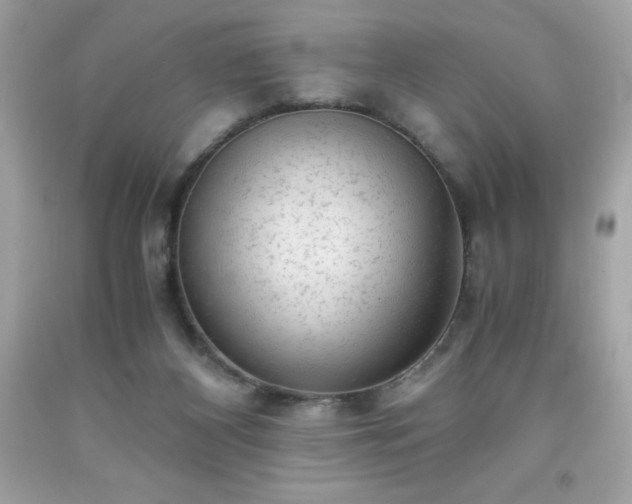 X0000091920116200709121546