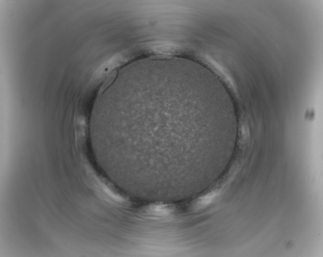X0000091920117200709121546