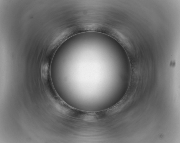 X0000091920118200709121546