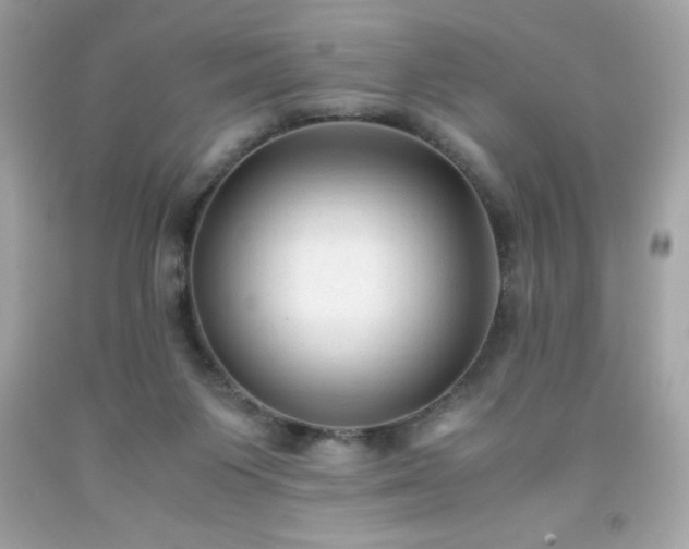 X0000091920119200709121546