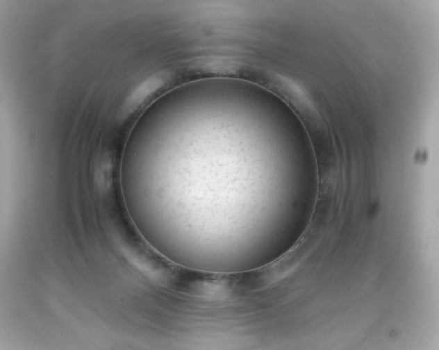 X0000091920120200709121546