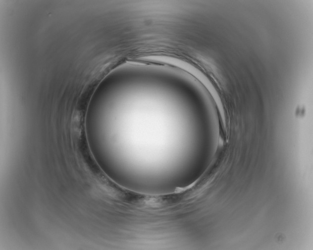 X0000091920121200709121546