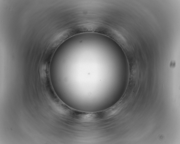 X0000091920122200709121546