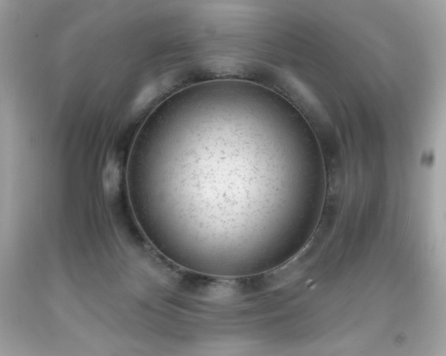 X0000091920124200709121546