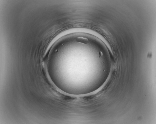 X0000091920125200709121546