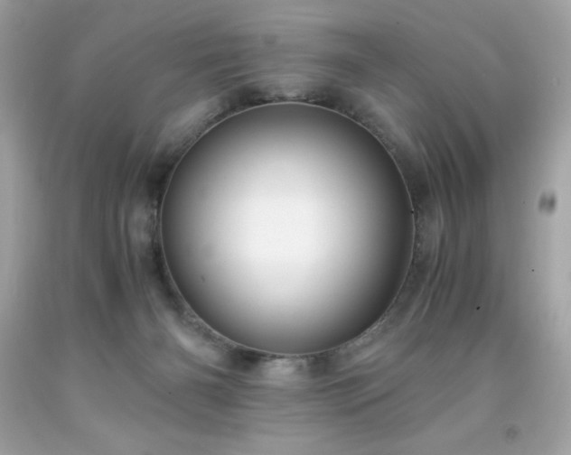 X0000091920126200709121546