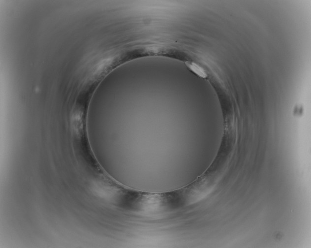 X0000091920127200709121546
