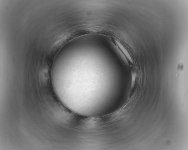 X0000091920128200709121546