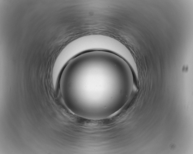 X0000091920129200709121546