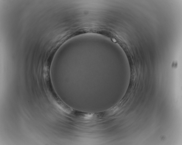 X0000091920130200709121546