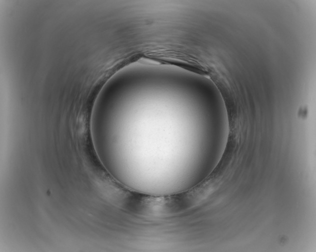 X0000091920131200709121546
