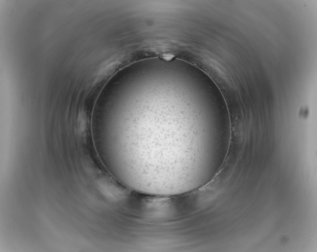 X0000091920132200709121546