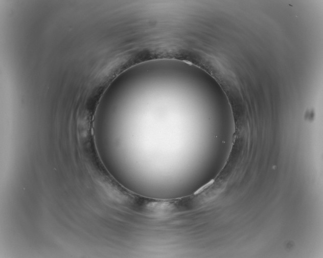 X0000091920133200709121546