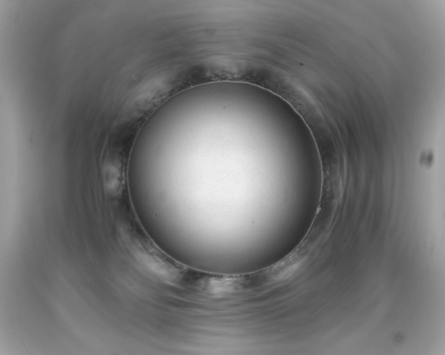 X0000091920134200709121546