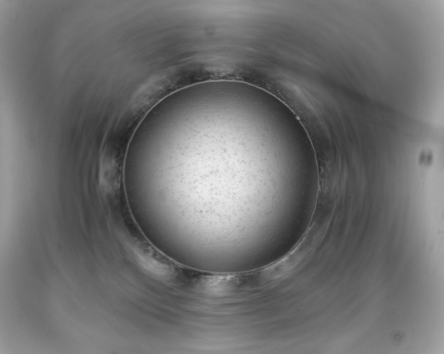 X0000091920136200709121546