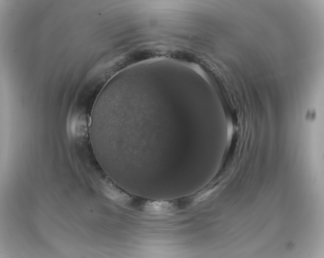 X0000091920137200709121546
