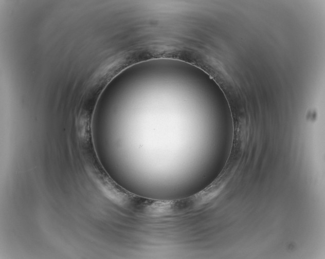 X0000091920138200709121546