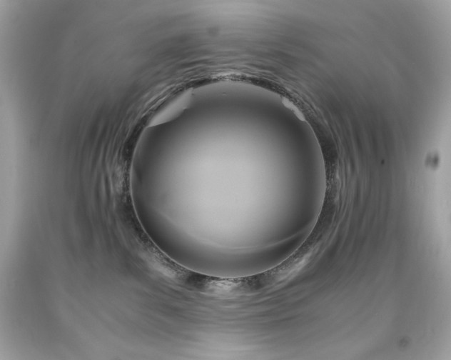 X0000091920139200709121546