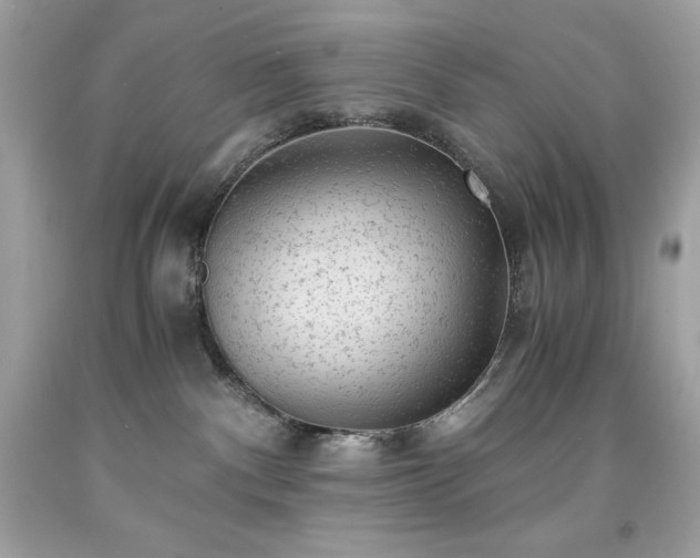 X0000091920140200709121546