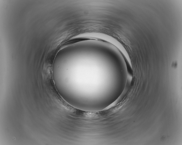 X0000091920141200709121546