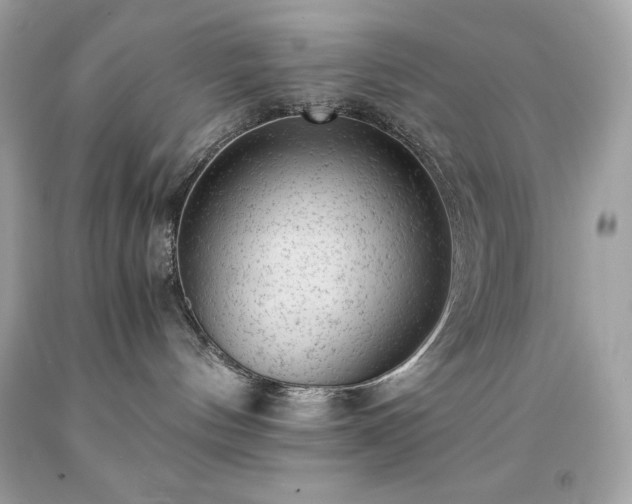 X0000091920144200709121546