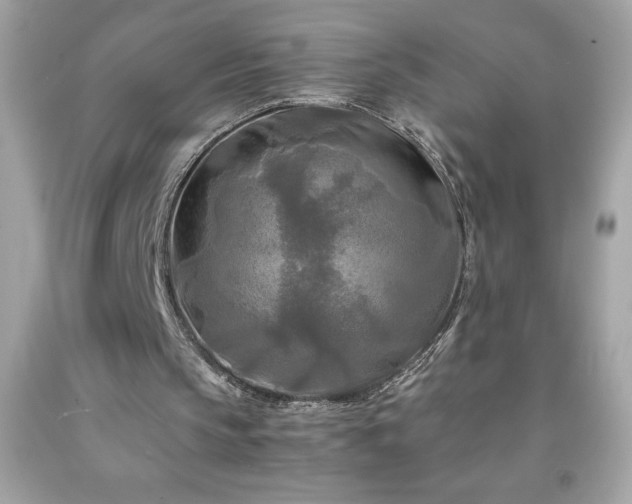 X0000091920145200709121545