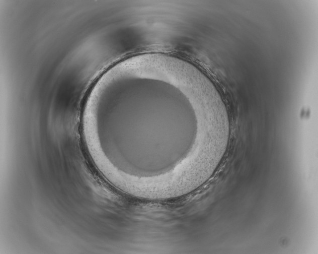 X0000091920146200709121545