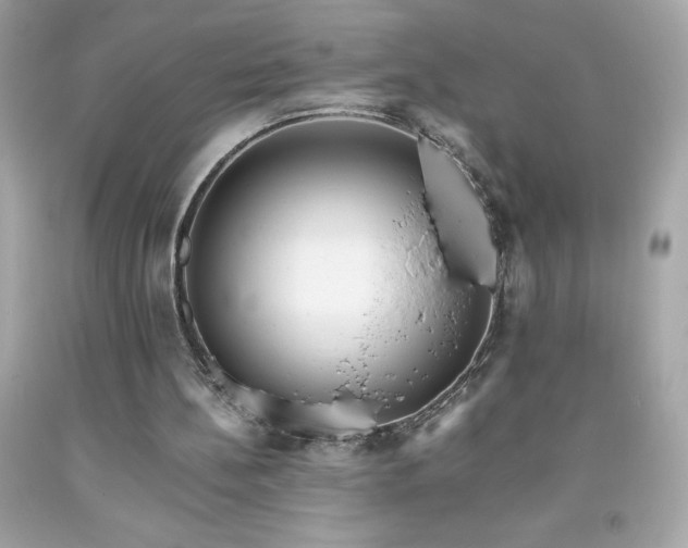 X0000091920148200709121545