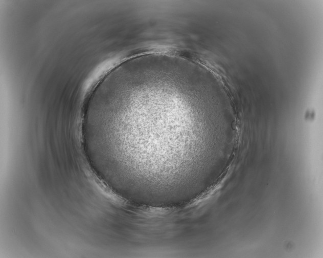 X0000091920149200709121545